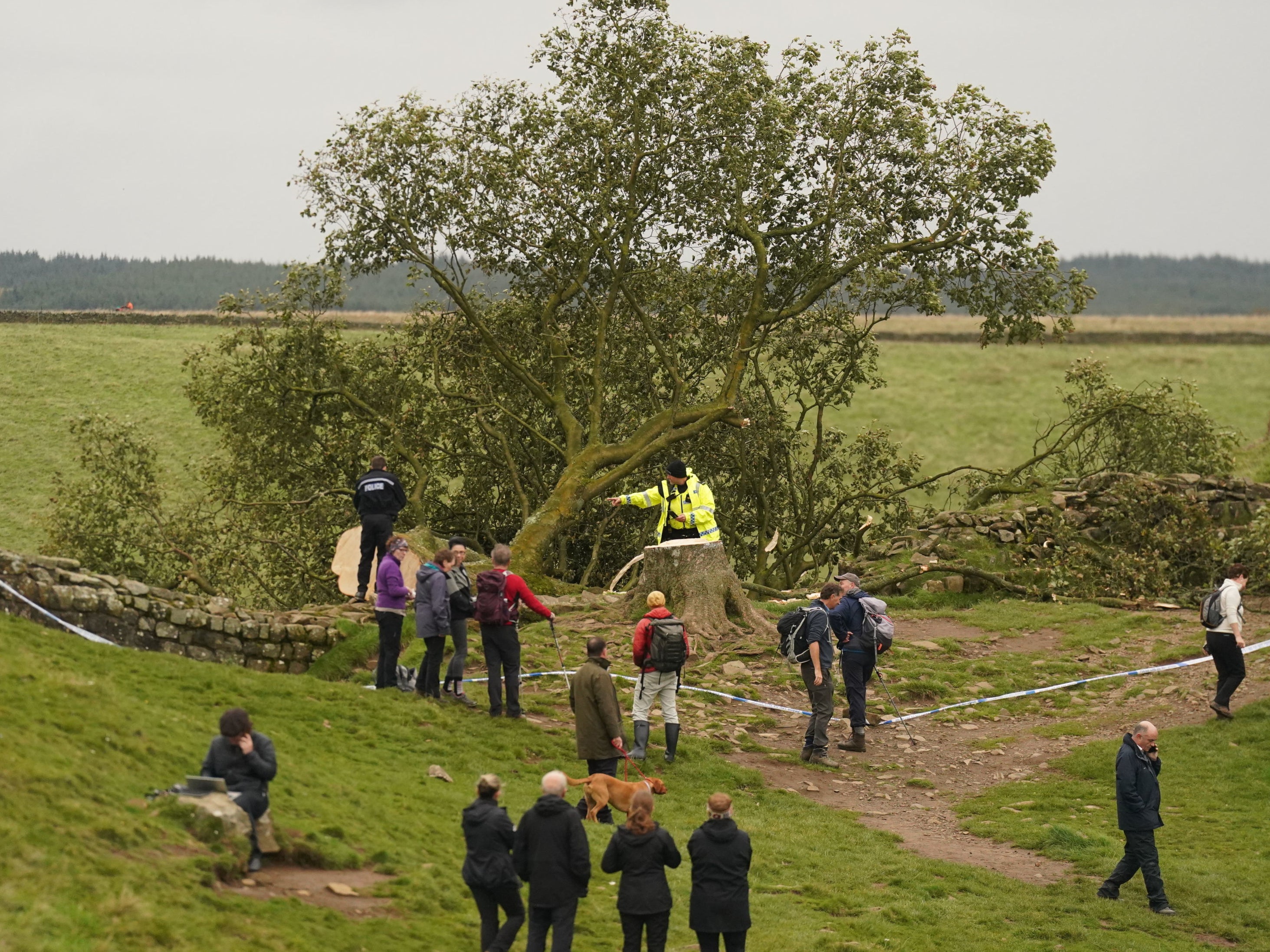People look at the tree at Sycamore Gap, next to Hadrian's Wall, in Northumberland after it came down overnight