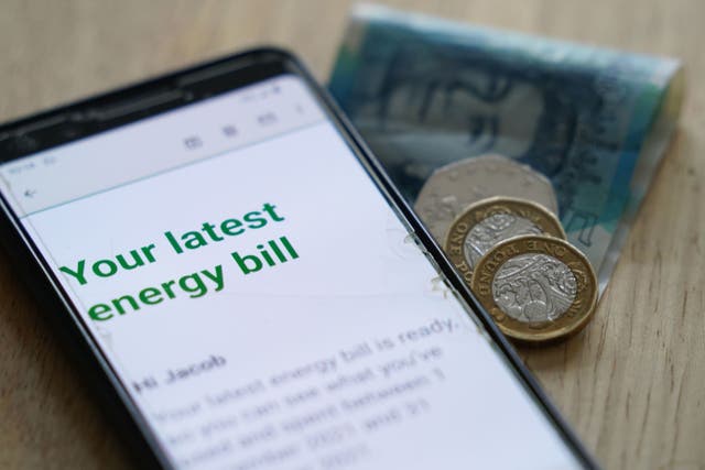 A survey for National Energy Action found 34% of British adults expect to struggle to afford their heating bills this winter without government support (PA)
