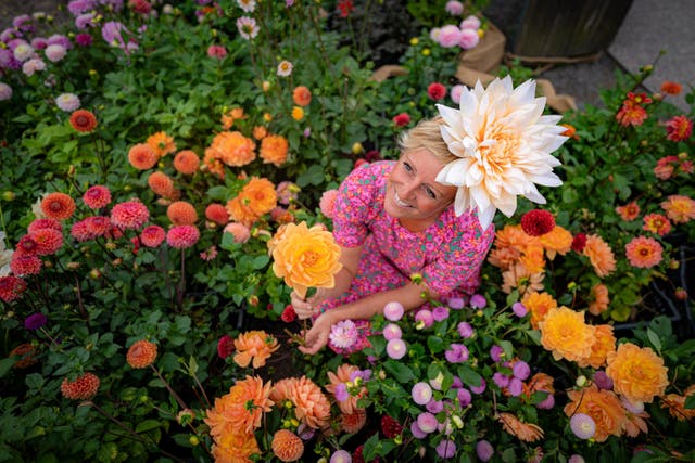 Dahlia flower farmer Andie McDowell arranges some of the blooms at Stonehenge (Ben Birchall/PA)