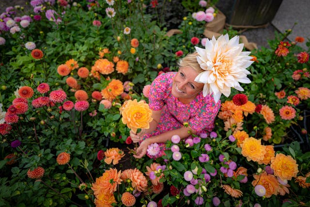 Dahlia flower farmer Andie McDowell amid the blooms at Stonehenge (Ben Birchall/PA)