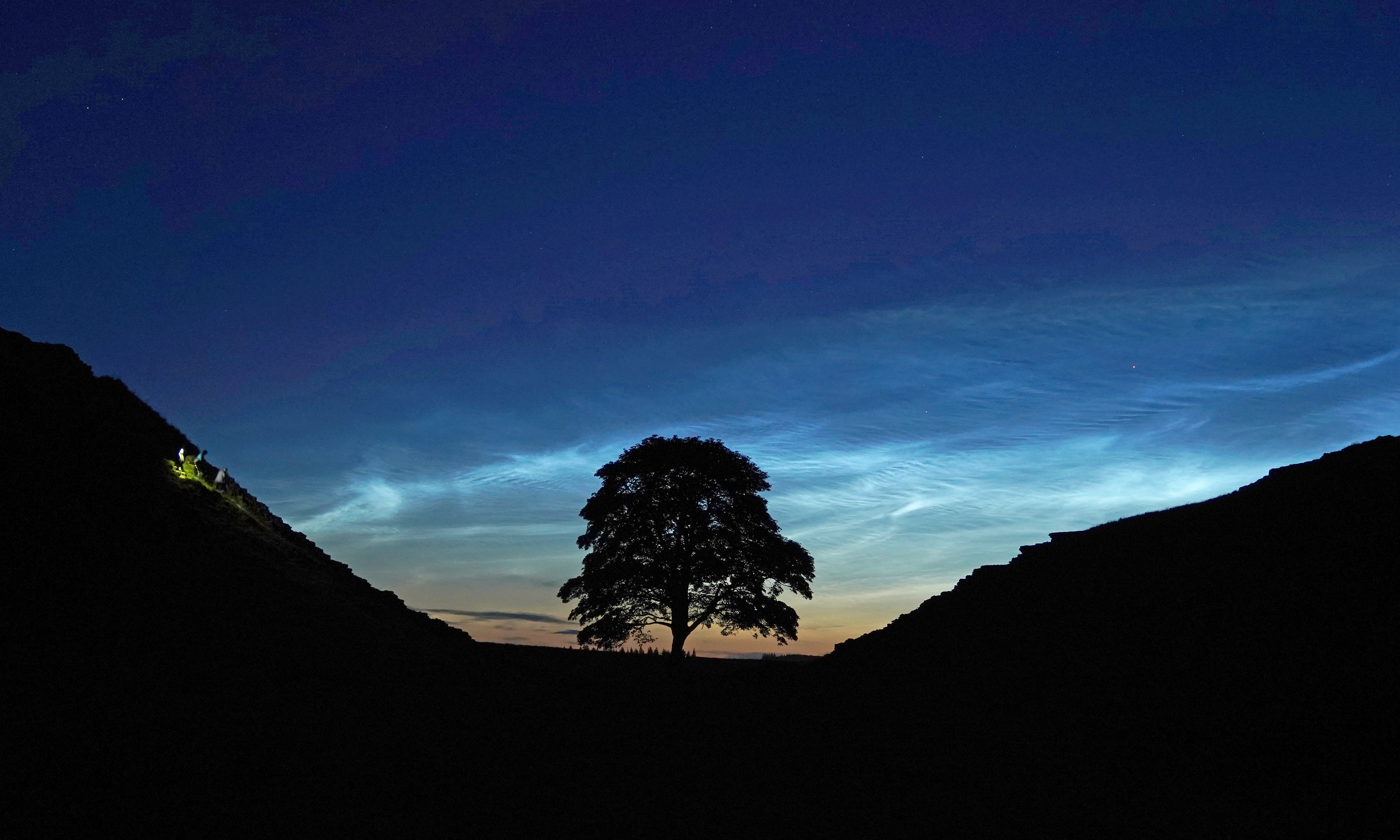 Rare noctilucent clouds appear over the tree on Hadrian's Wall in Northumberland