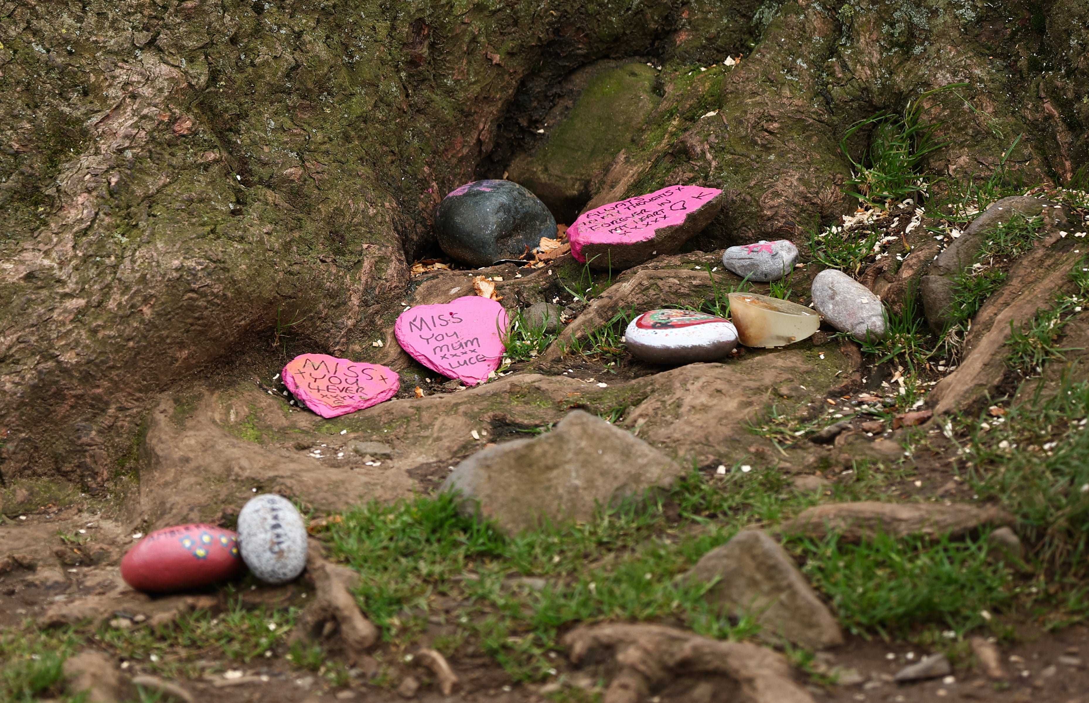 Messages left on stones beneath the remains of the tree