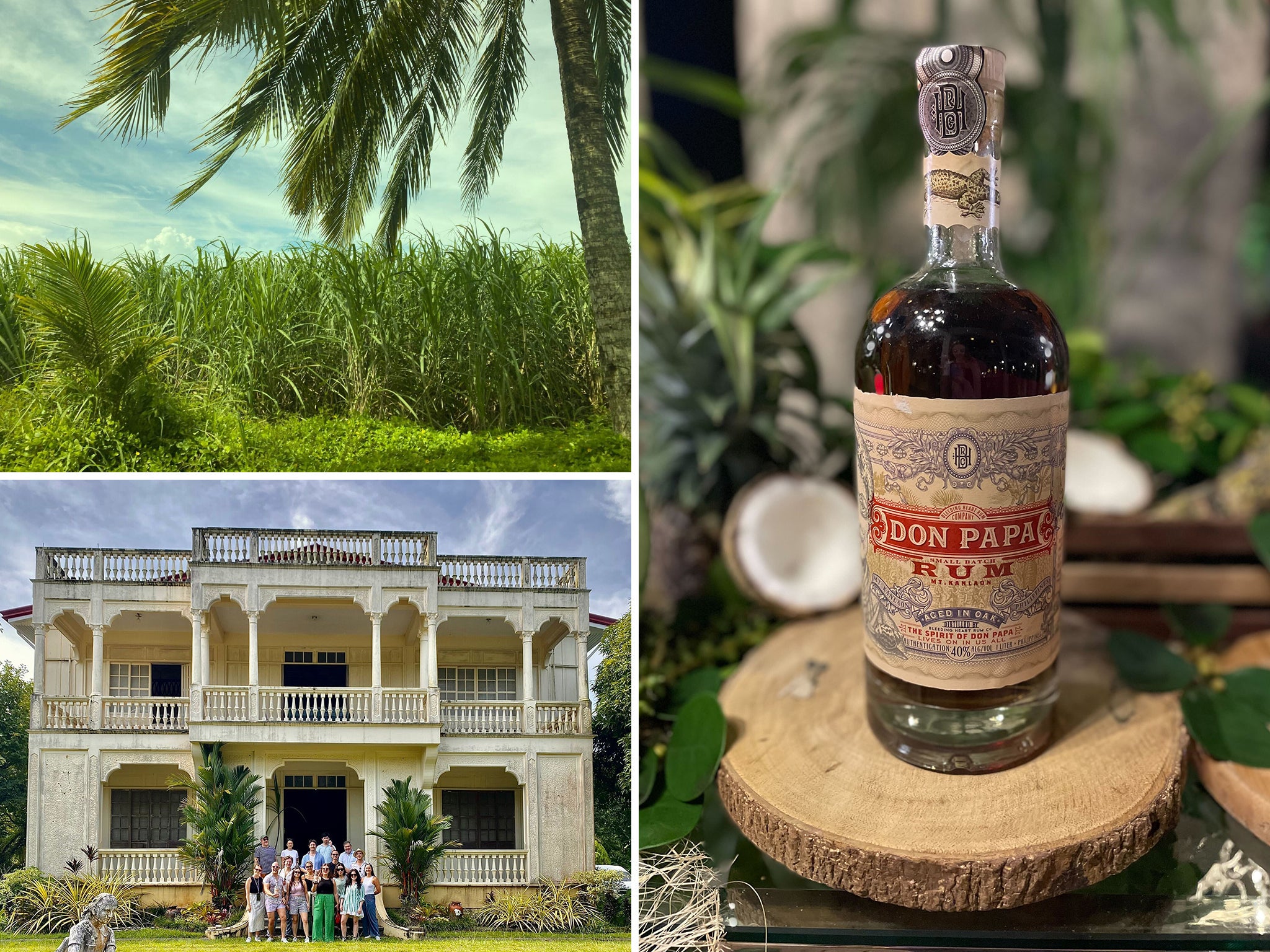 Diageo to acquire Don Papa Rum, a super-premium, dark rum from the  Philippines