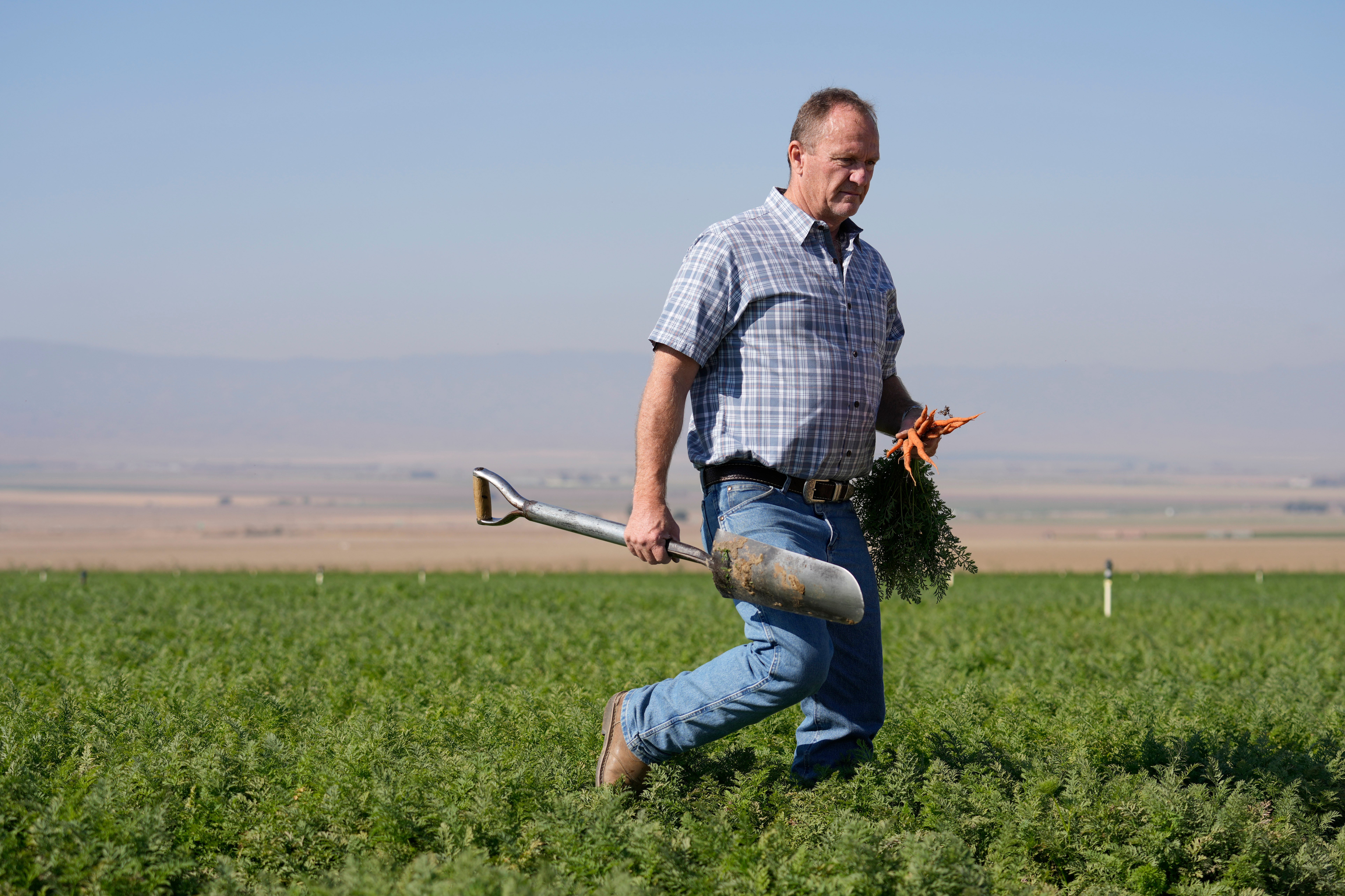 California Carrot Boycott