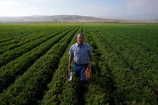 A fight over precious groundwater in a rural California town is rooted in carrots