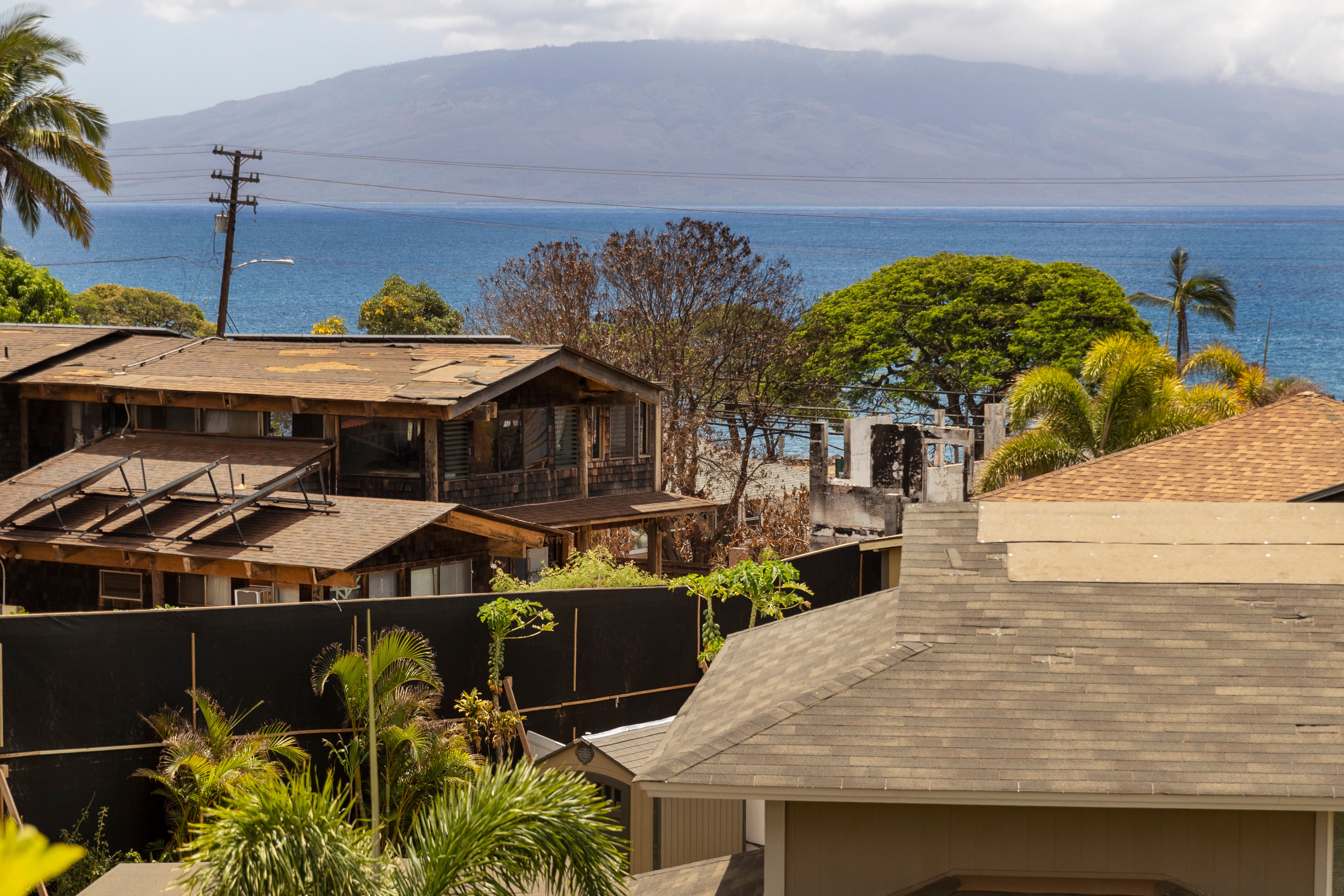Hawaii Wildfire Hawaiian Homestead