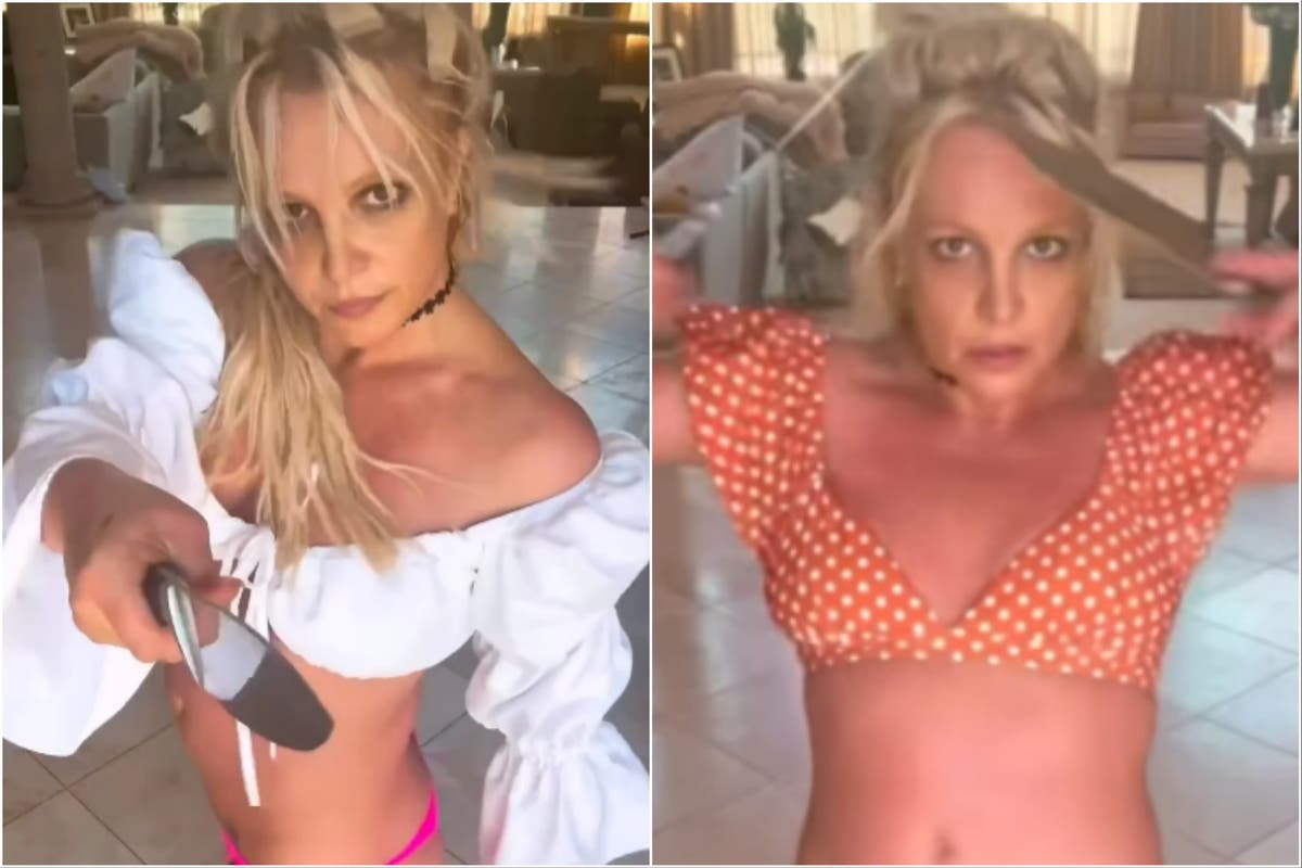 Britney Spears shares frustration after police are called to her house over fake knife video: ‘It’s enough!’