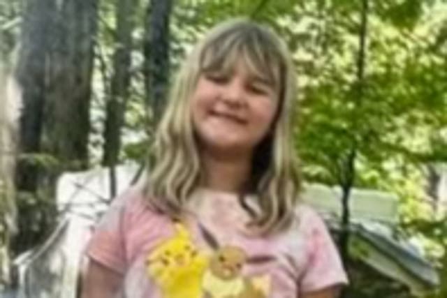 <p>Charlotte Sena, 9, vanished on Saturday evening from Moreau Lake State Park in Saratoga County, New York</p>