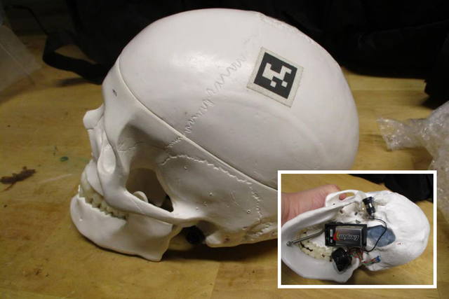 <p>Skullduggery: The model skull triggered a security alert </p>