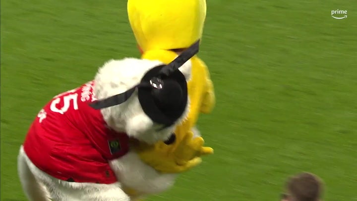 <p>Nantes’ mascot stretchered off pitch after being tackled by Rennes rival.</p>