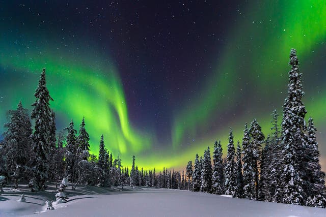 <p>Winter is the perfect time to see the aurora borealis in Finland </p>