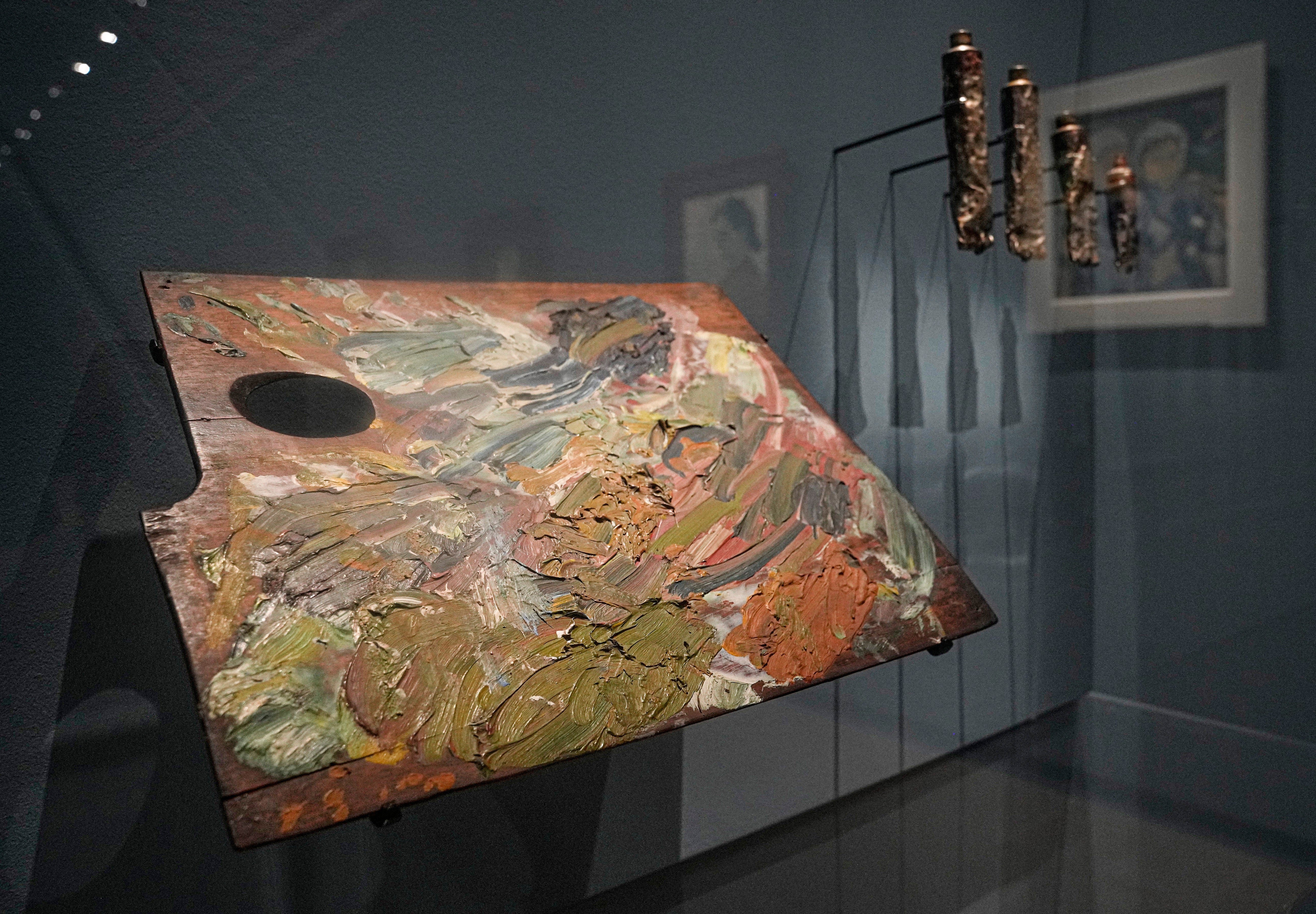 France Van Gogh's Final Months