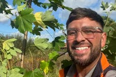 Man ‘devastated’ after National Trust remove sapling he planted to replace Sycamore Gap