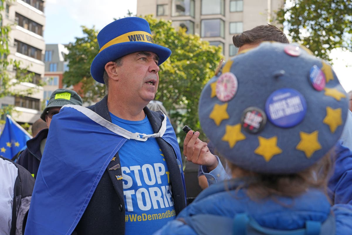 Anti-Brexit campaigner ejected from Tory conference meeting after protest