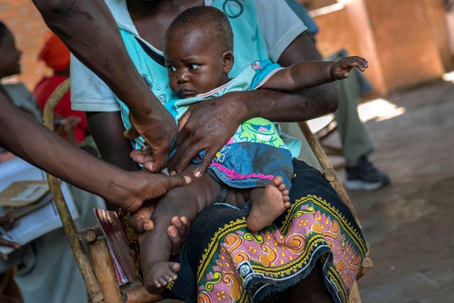 <p>Malaria vaccines, such as this one administered to a baby from the Malawi village of Tomali, can save thousands of lives </p>