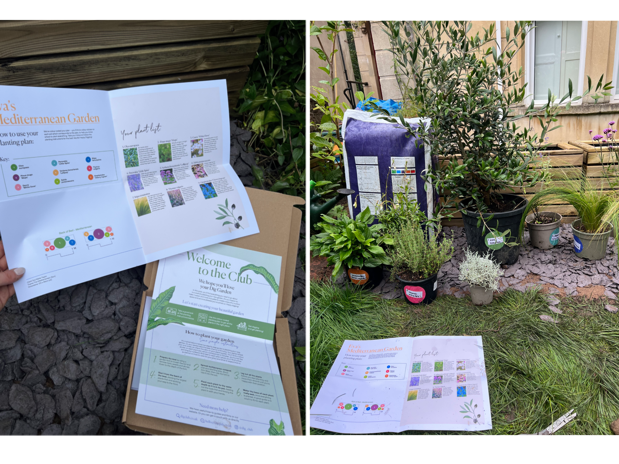 The instructions and plants in position