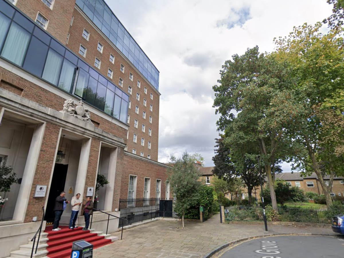 XL Bully dog gores one year old boy outside London hotel