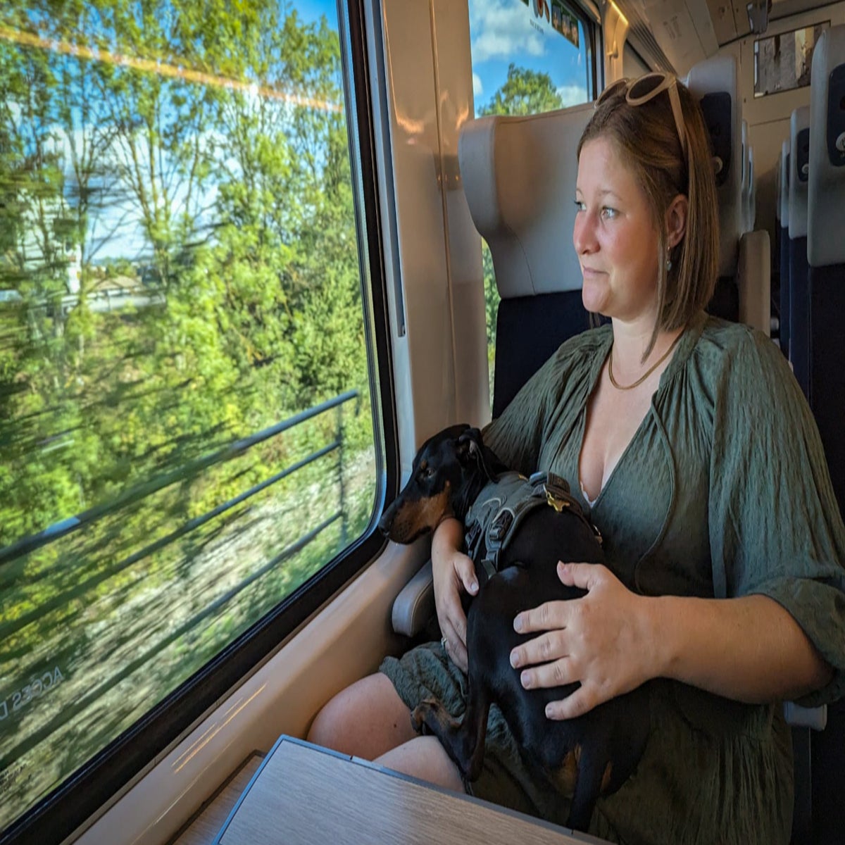 Common rules and regulations for "Can A Dog Travel On A Train?"