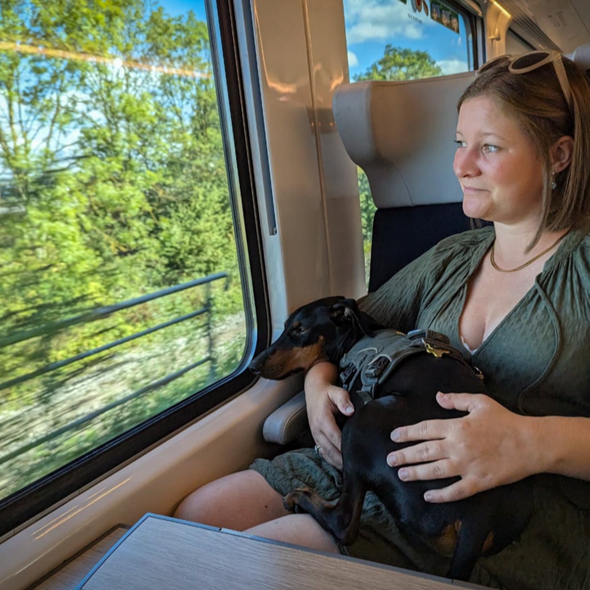 Common rules and regulations for "Can A Dog Travel On A Train?"