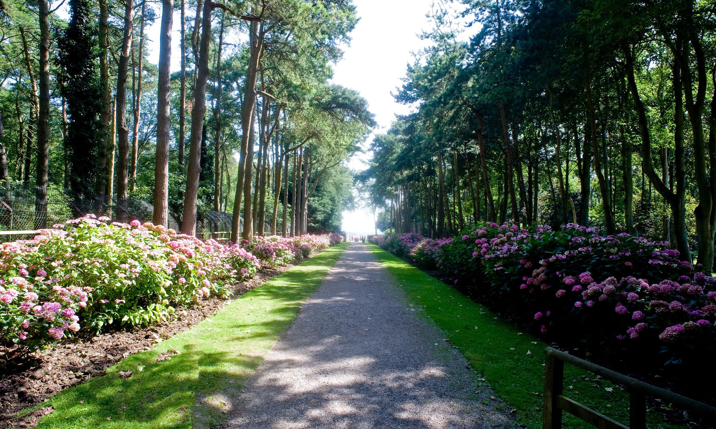The reserves boasts views stretching across 600 acres of private parkland and garden grounds