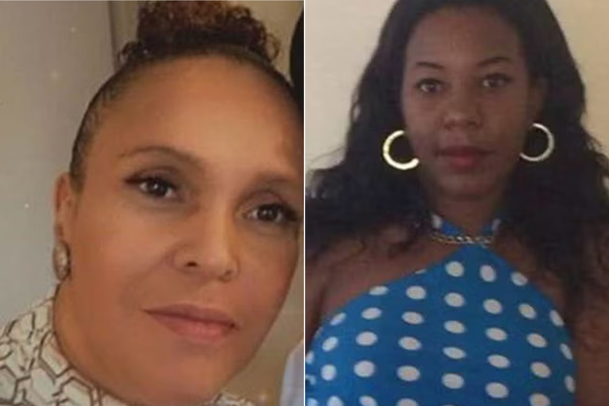 Carl Cooper is accused of killing Fiona Holm (left), 48, and Naomi Hunte, 41 (right)