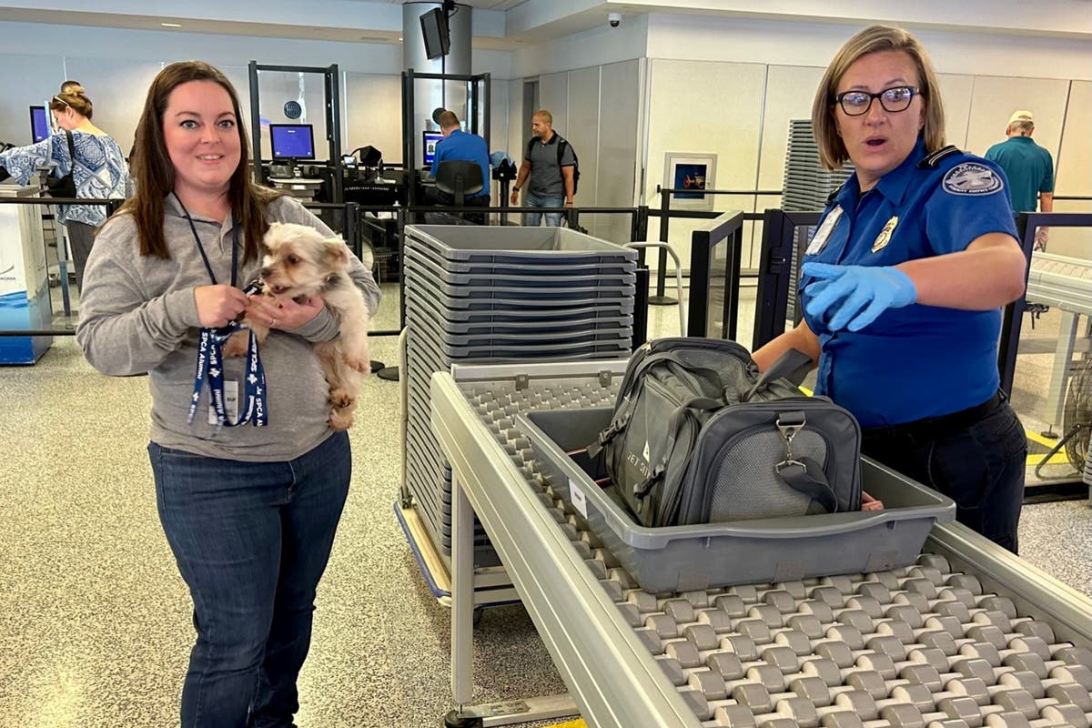 Passengers warned not to put pets through X-ray scanners at airports