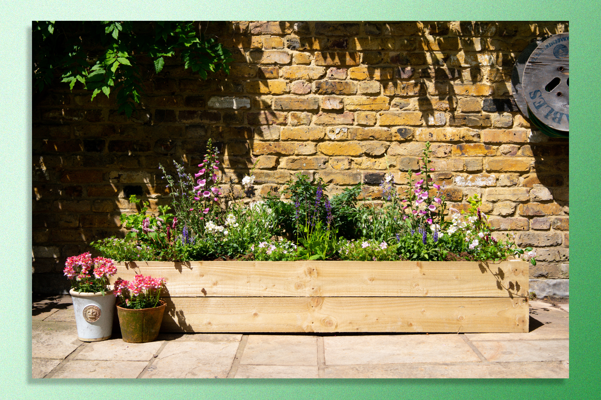 Dig Club delivers instant flower beds to your door – and we’re obsessed