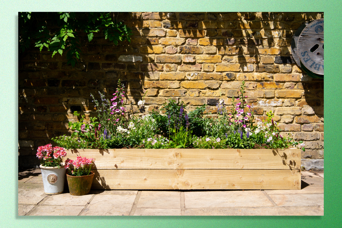 Dig Club delivers instant flower beds to your door – and I’m obsessed