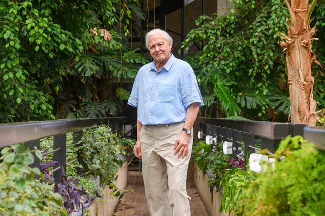 Sir David Attenborough is the latest famous face to be immortalised by Madame Tussauds London (Madame Tussauds London/PA)