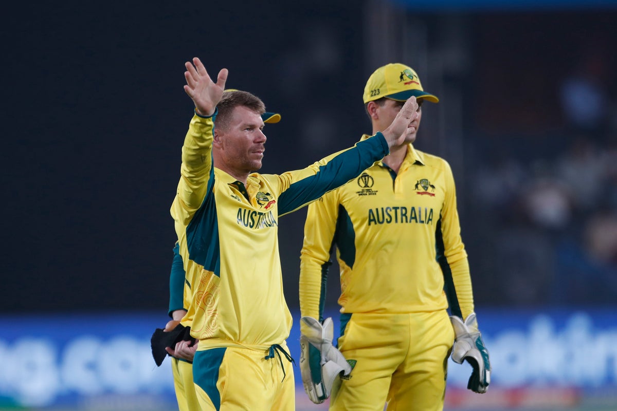 1200px x 800px - Australia vs Pakistan: Cricket fans troll David Warner, Steve Smith for  awful bowling in warm up match against Pakistan | The Independent