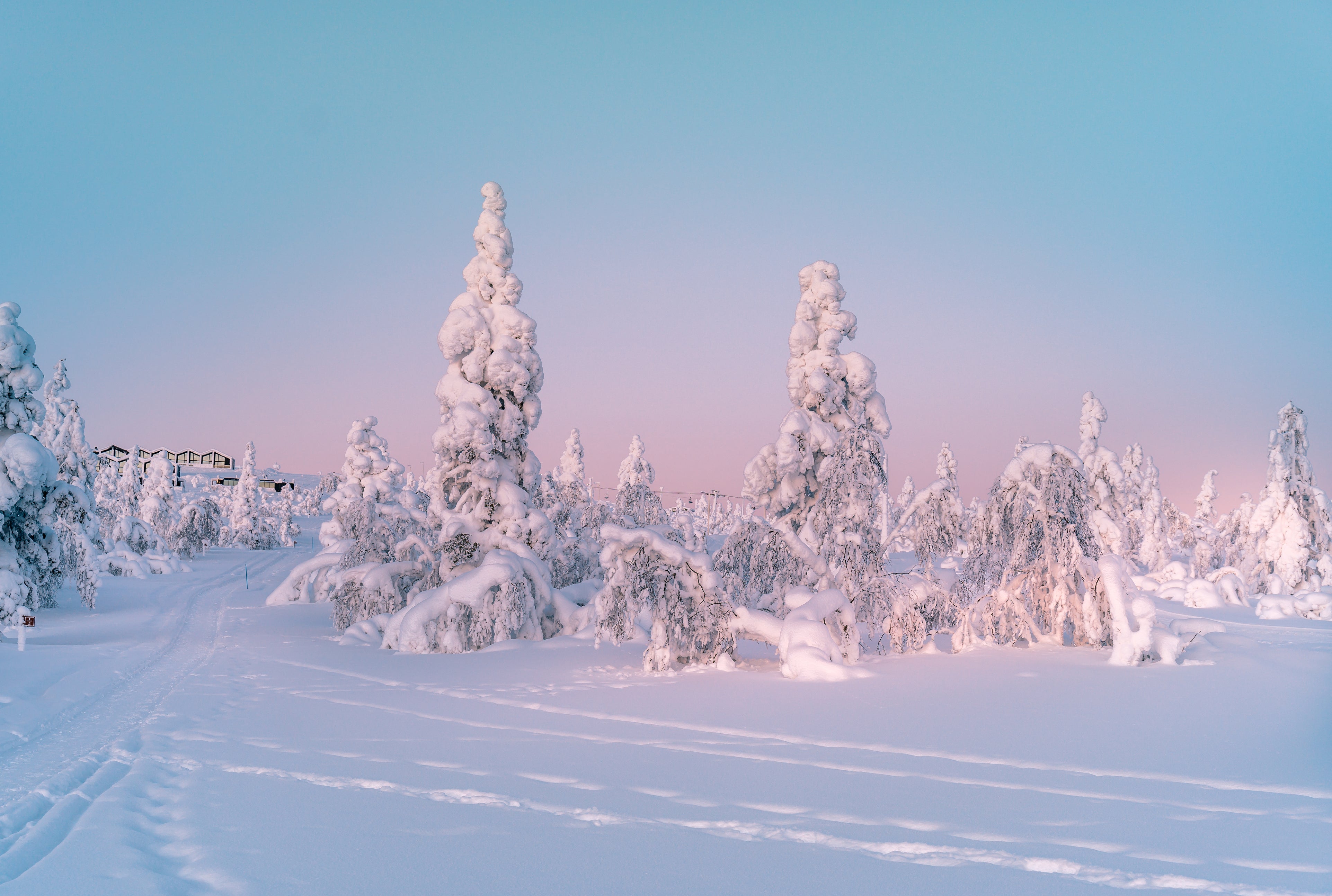 Glide through the forests of Finnish Lapland on cross-country skis