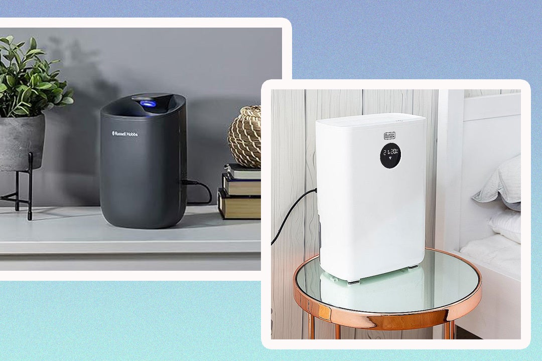 These energy-efficient appliances include air purifiers too