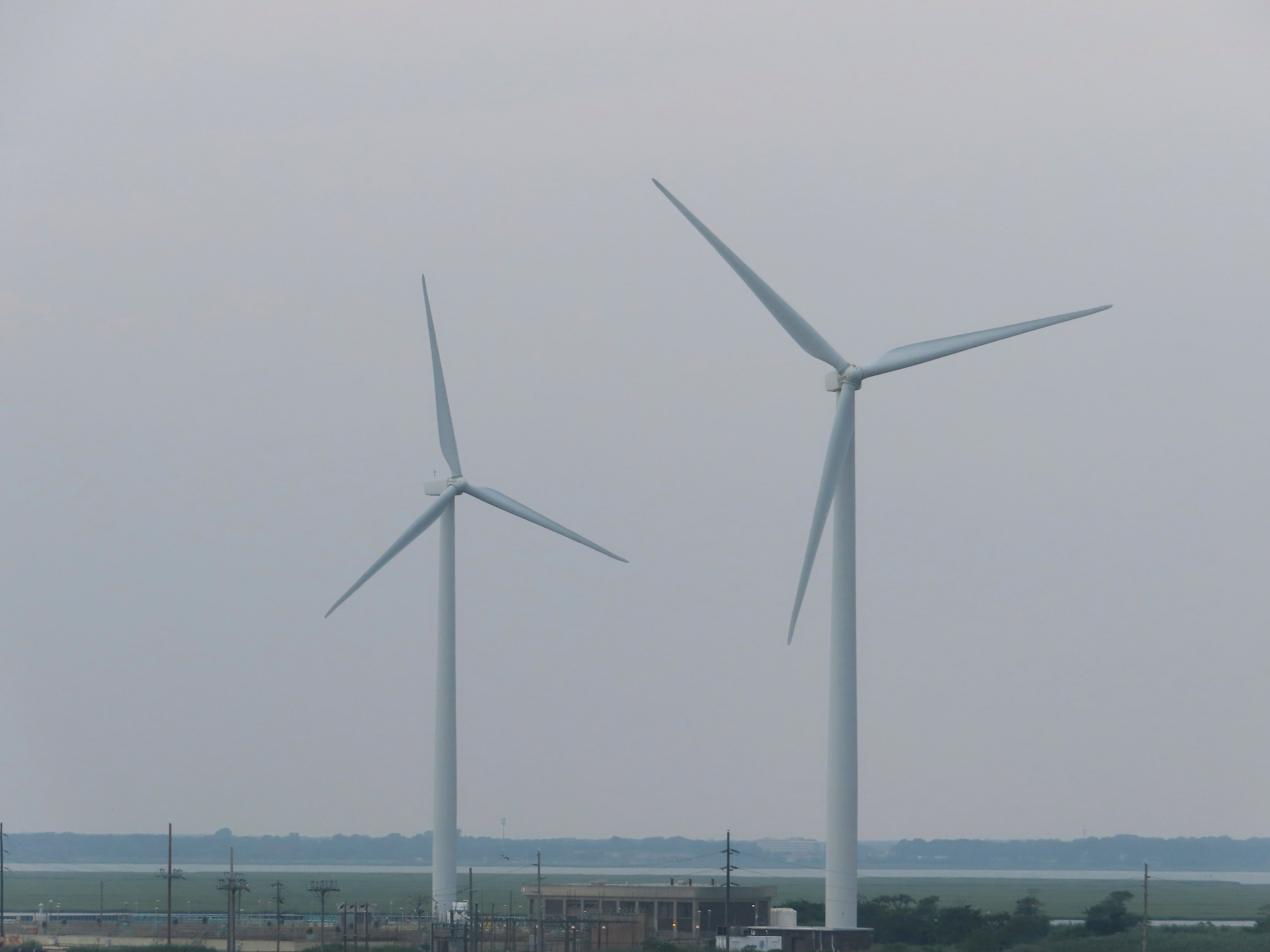 Offshore wind, cruise ships and cargo including steel could all be affected if the strikes go ahead