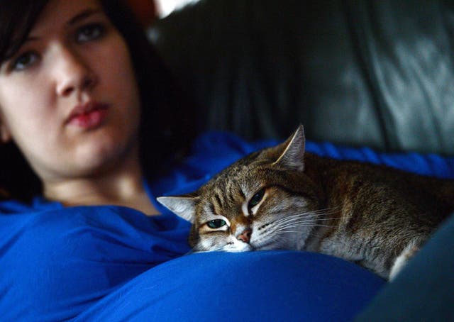 <p>A cat sits on a woman’s lap on 10 January 2013 in Strasbourg</p>
