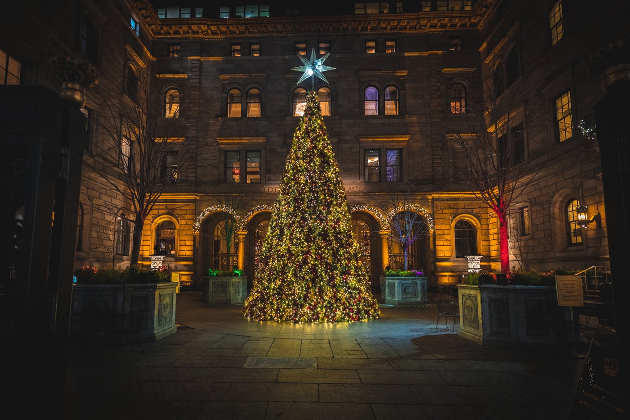 The Lotte’s Christmas Tree has previously been named among the most impressive in the city