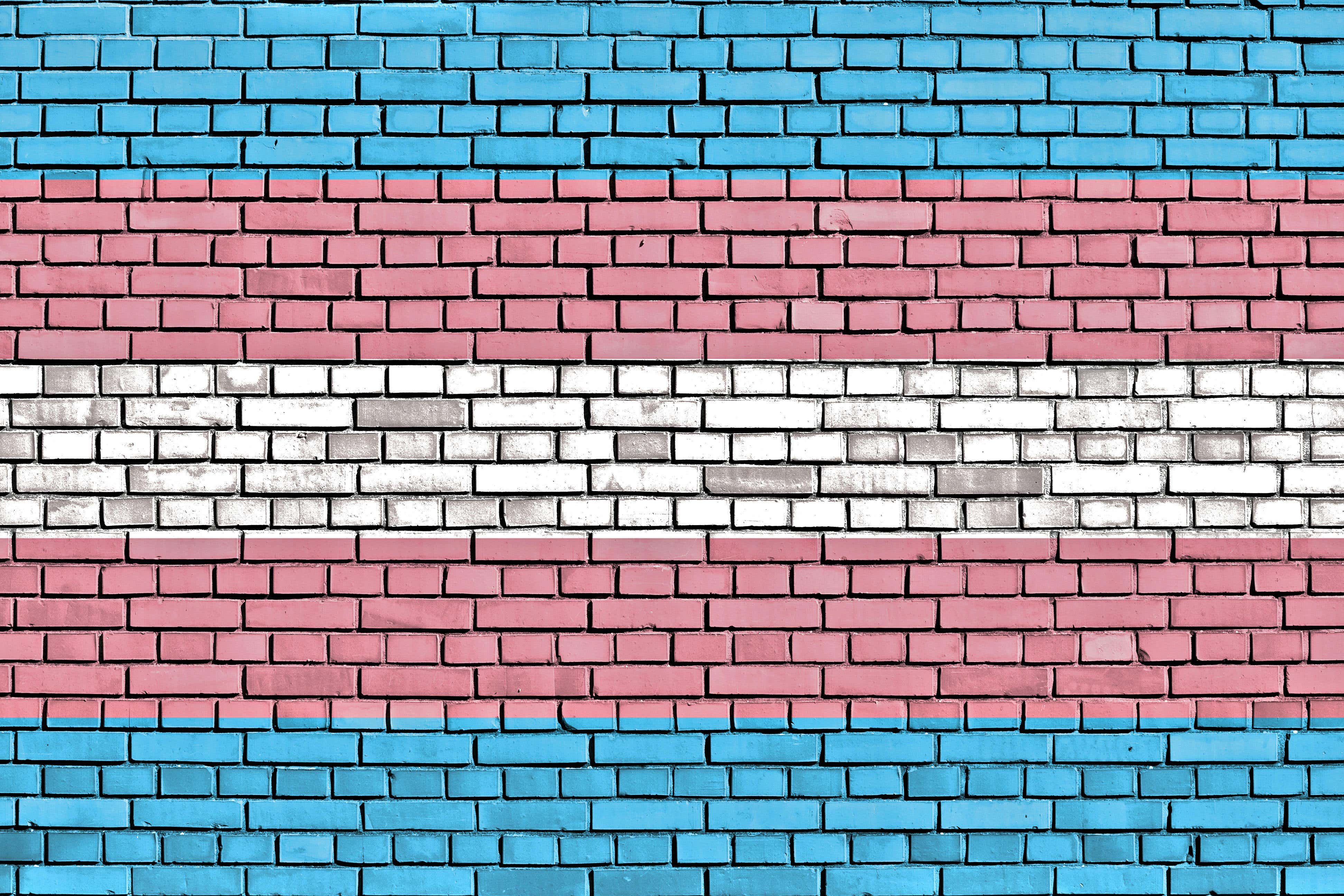 Discussion of transgender issues by politicians, the media and on social media over the last year may have led to an increase in offences, according to the Home Office (Alamy/PA)