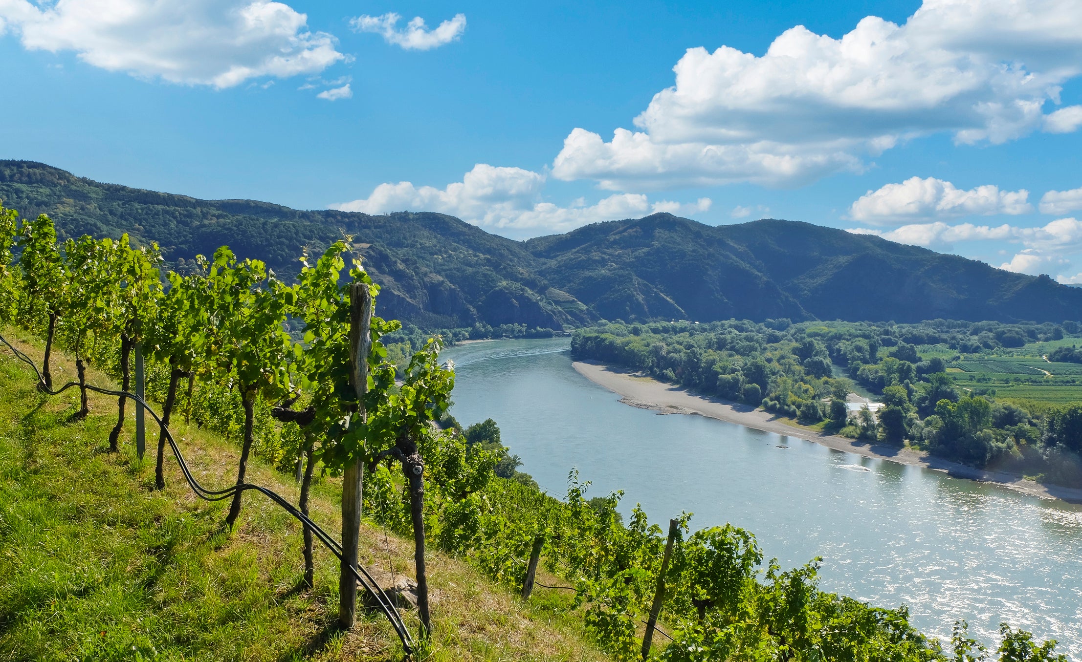 Cruise the vineyard-rich Wachau Valley to sample Austria’s finest whites