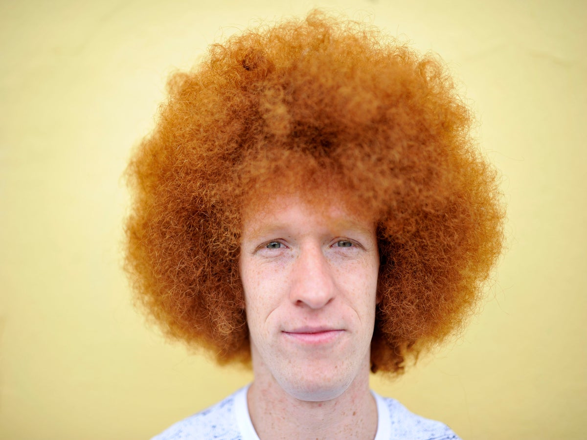 Gingers have been around for 10 million years, new study reveals | The  Independent