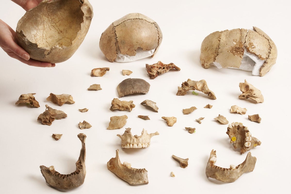 Europeans cannibalised on their dead loved ones 15,000 years ago, archaeologists say | The Independent
