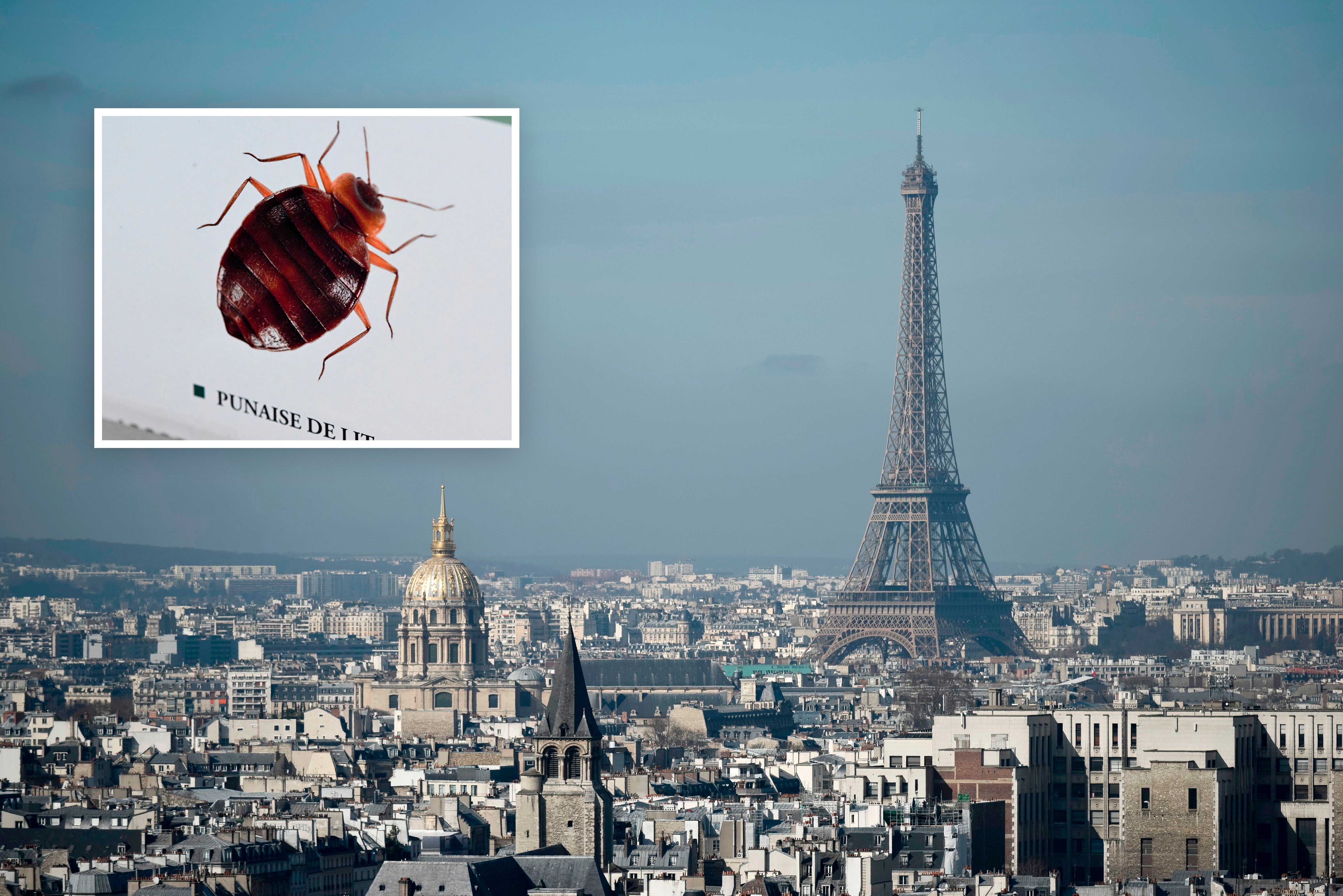 A bedbug infestation is taking hold in Paris