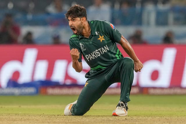 <p>Haris Rauf starred with the ball as Pakistan defeated the Netherlands</p>