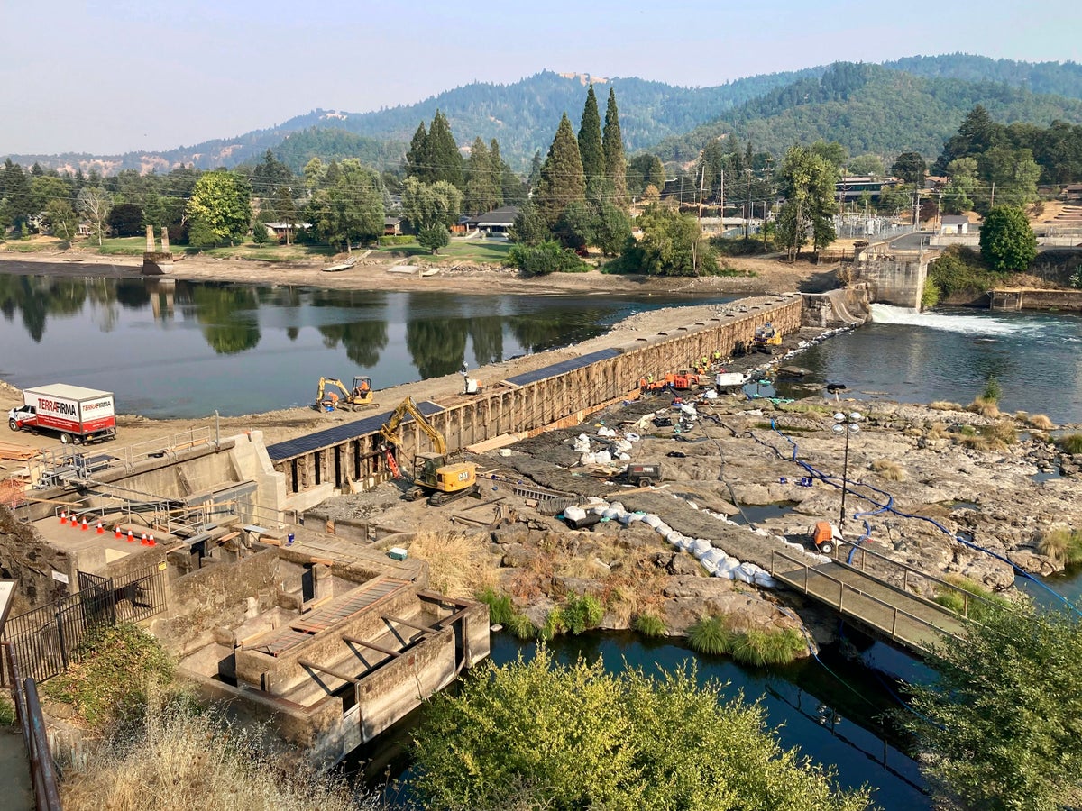 Oregon seeks $27M for dam repair it says resulted in mass death of Pacific lamprey fish