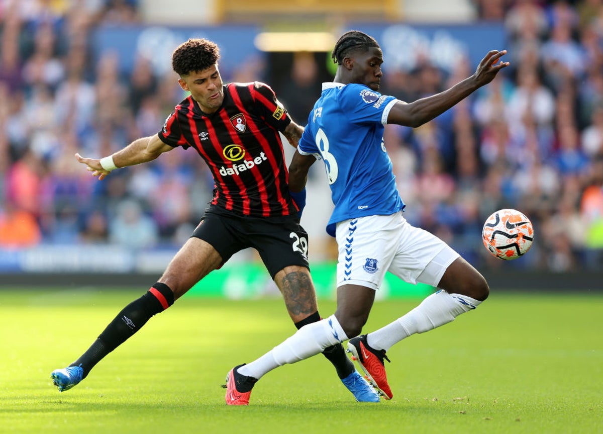 Everton vs AFC Bournemouth LIVE: Premier League latest score, goals and updates from fixture