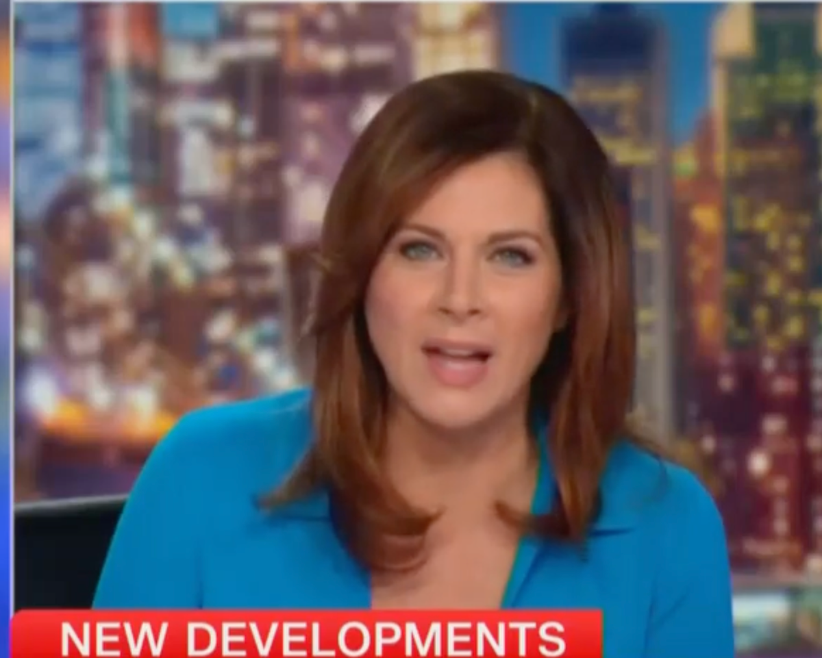 Trump rants about CNN anchor and ex-Apprentice colleague Erin Burnett: &lsquo;Not smart and very boring&rsquo;