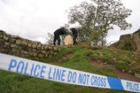 Forensic investigators examining the felled Sycamore Gap tree