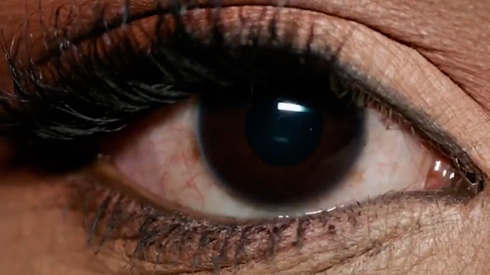 <p>Big Brother fans get first glimpse of 16 housemates heading into reboot</p>