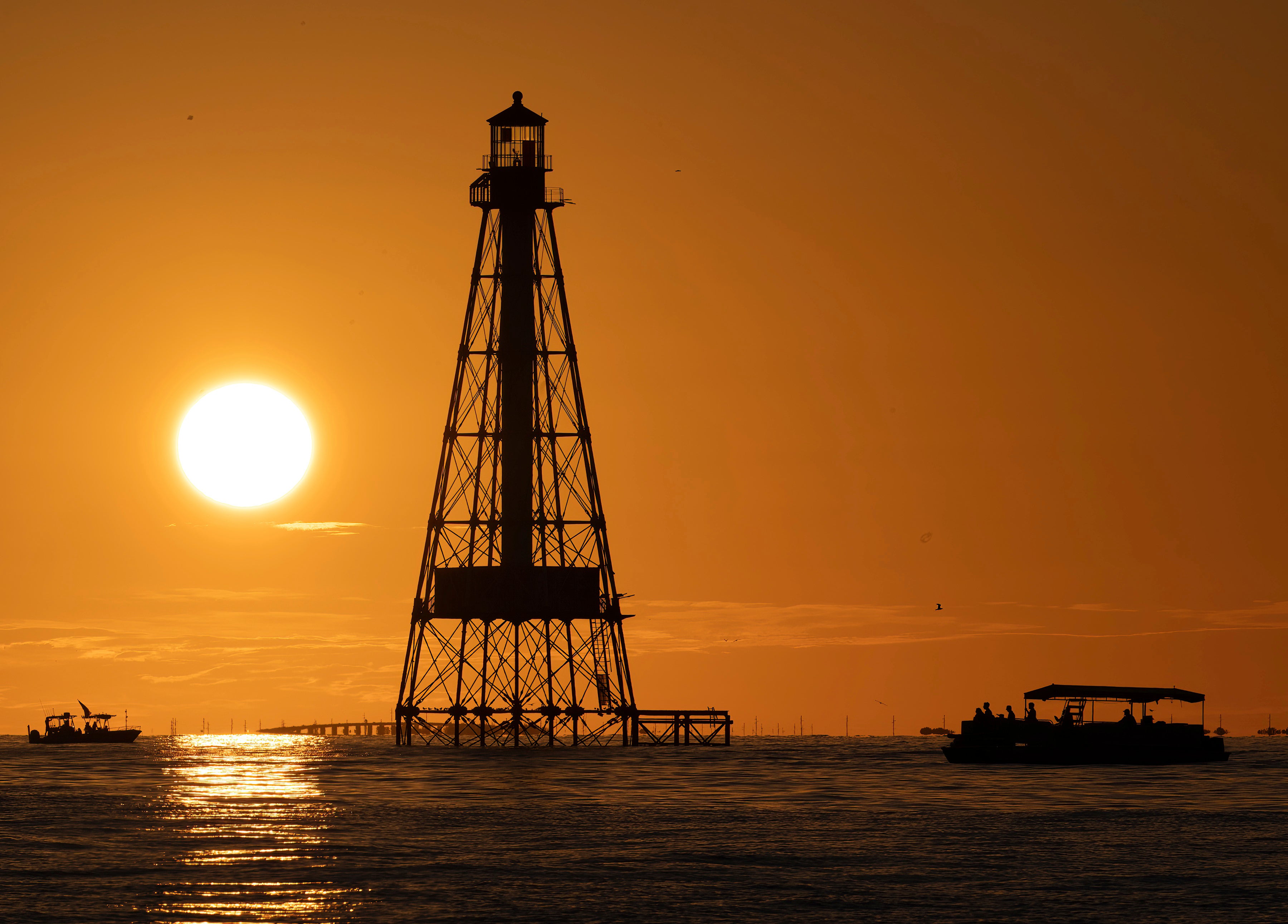 Save Alligator Lighthouse