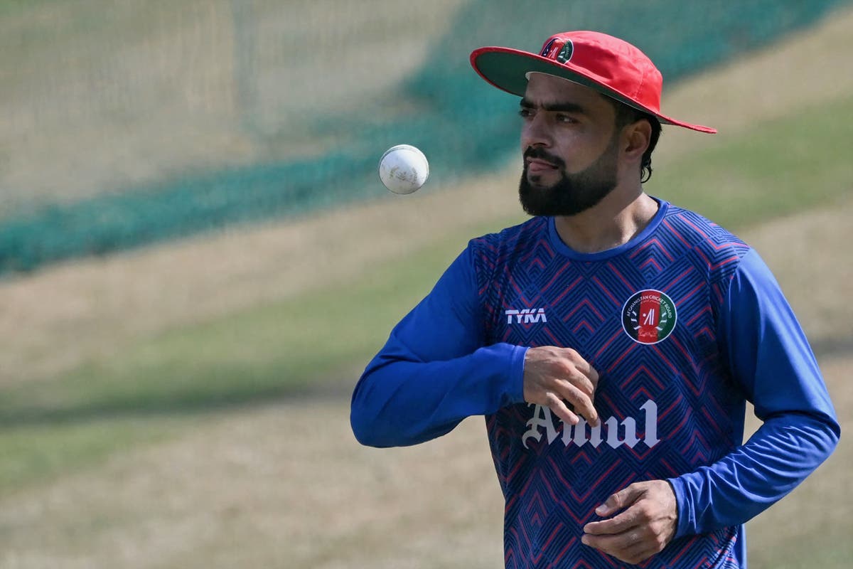 Rashid Khan To Donate World Cup Match Fees To Help Afghanistan Earthquake Victims The Independent 5203