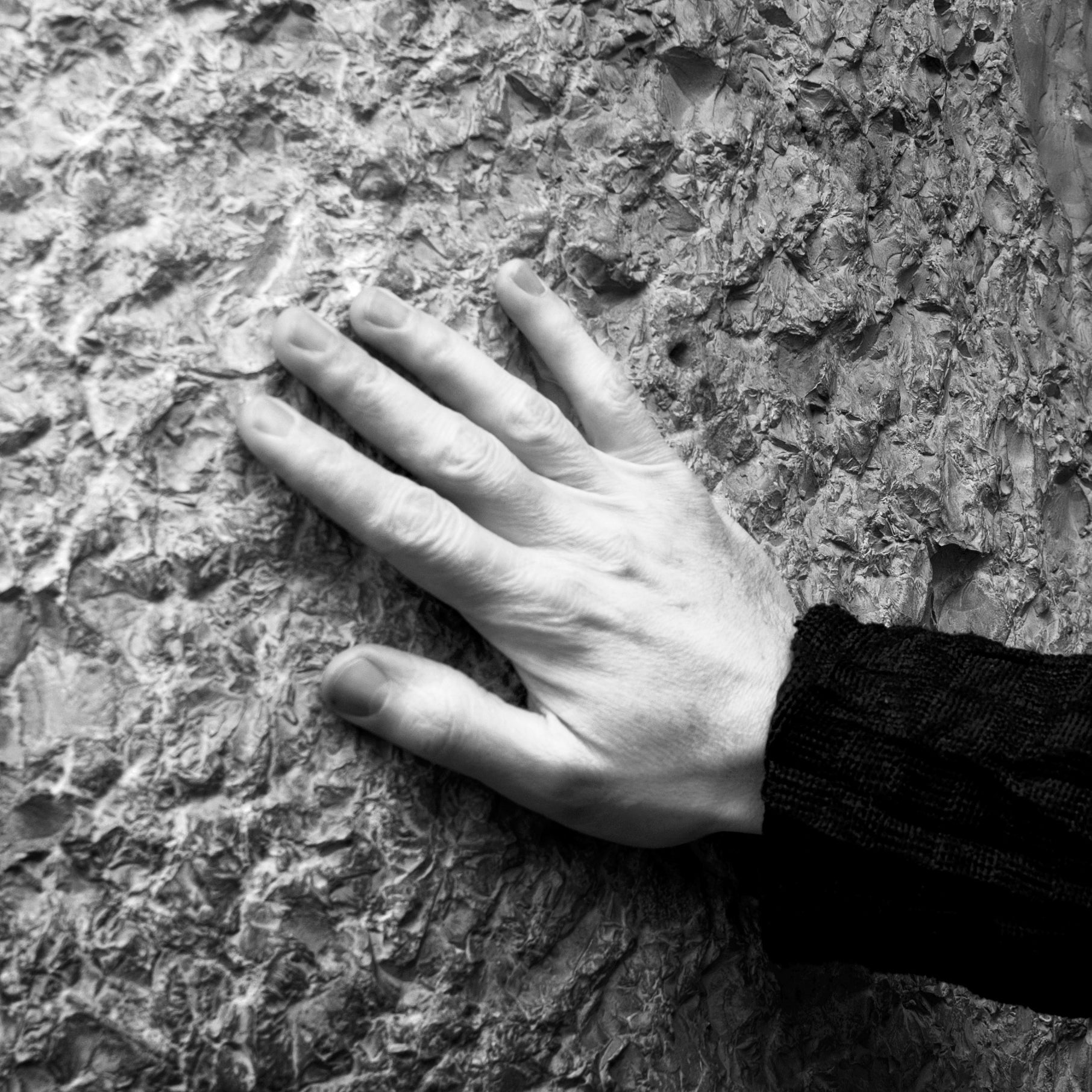 Casa Milà was nicknamed La Pedrera, or ‘The Quarry’, because it had the appearance of having been cut out directly from the stone in the ground