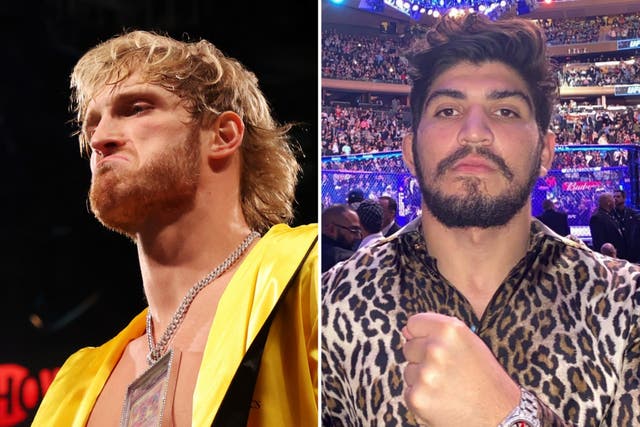 <p>Logan Paul, left, and Dillon Danis</p>